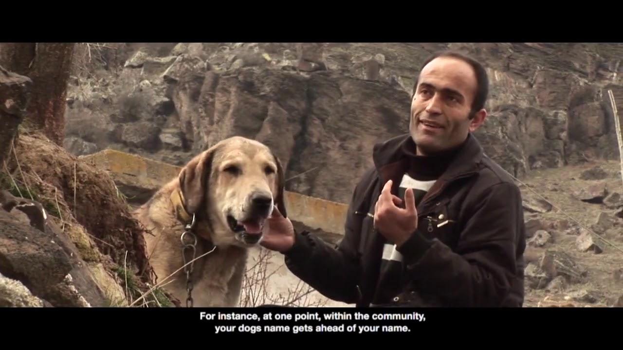 Fathers and Sons Trailer
