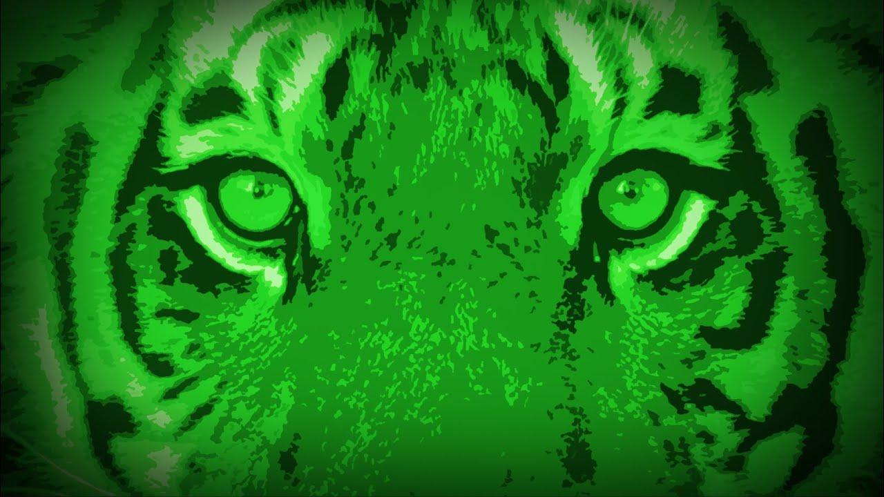 Life After Pi Trailer