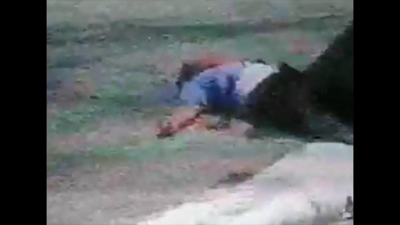 Gatilyo ng Baril Trailer