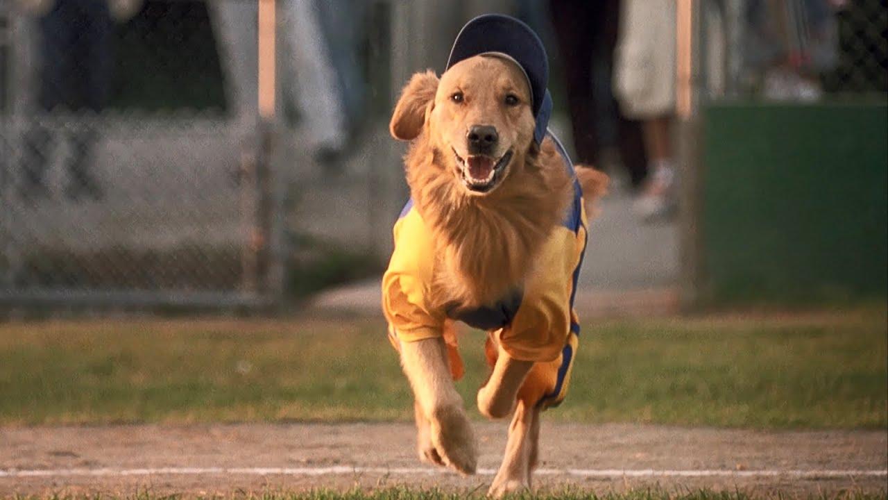 Air Bud: Seventh Inning Fetch Trailer