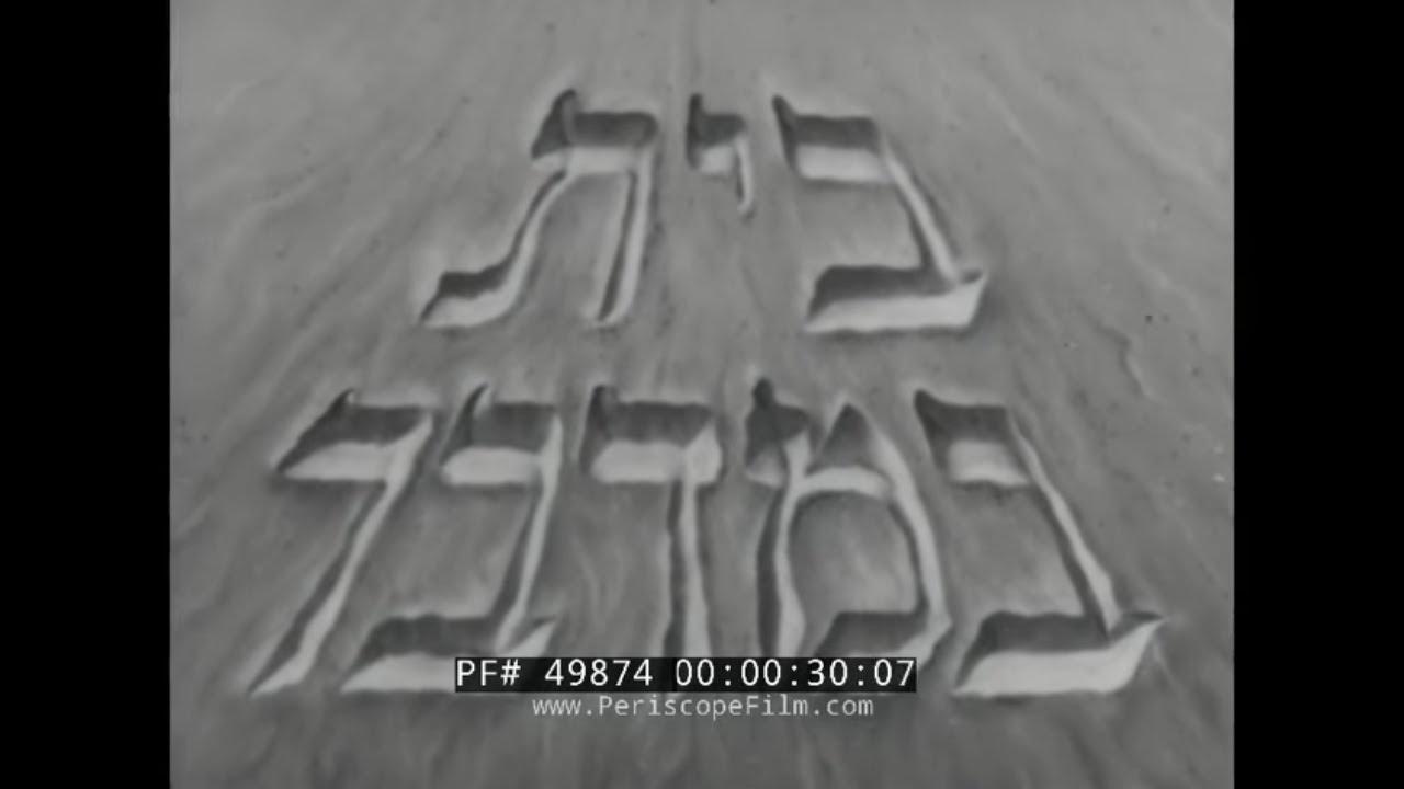 House In the Desert Trailer