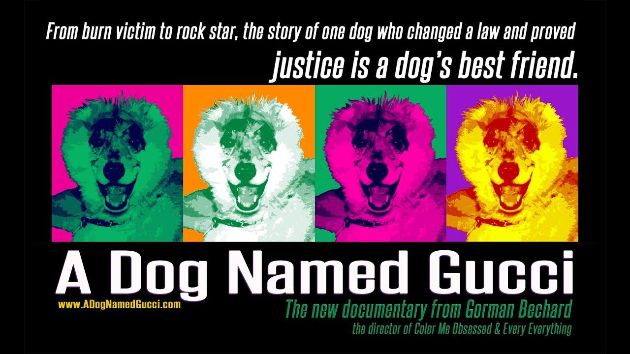 A Dog Named Gucci Trailer