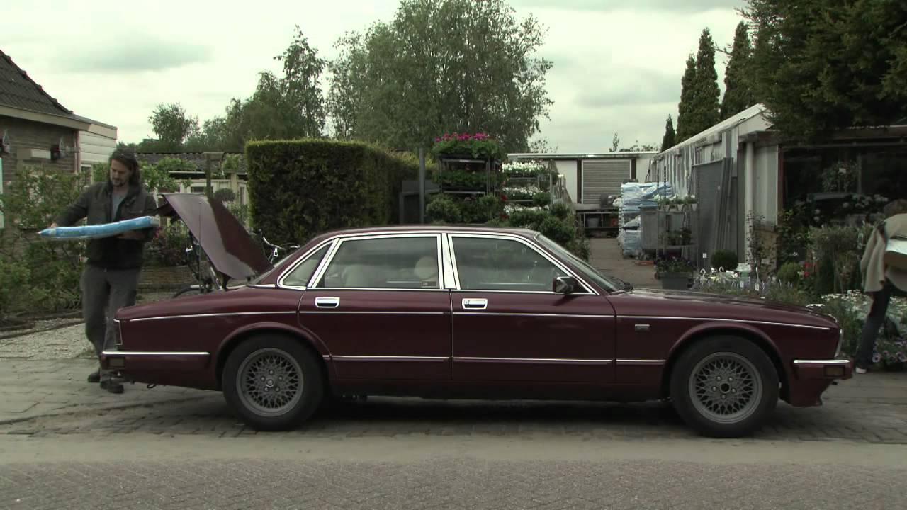 Dutch Weed Trailer