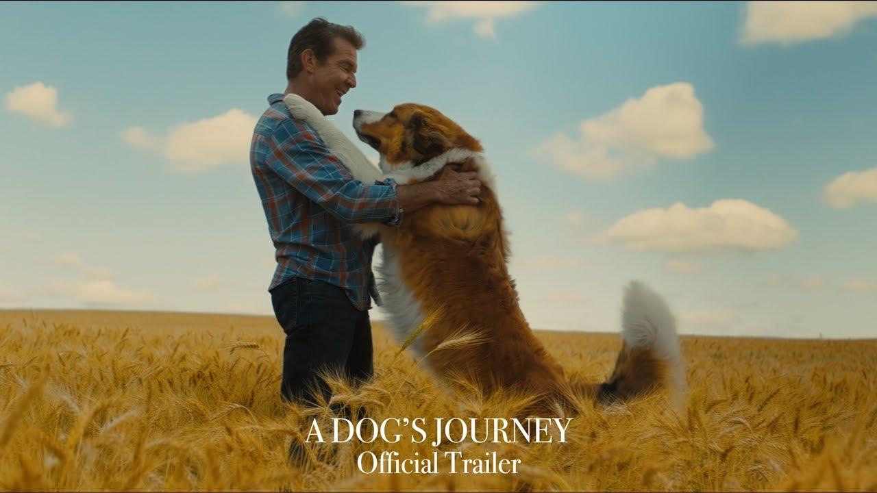 A Dog's Journey Trailer
