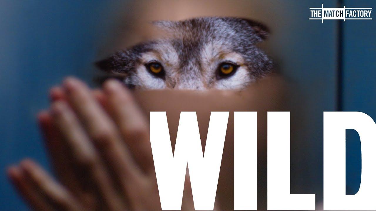 Wild Trailer