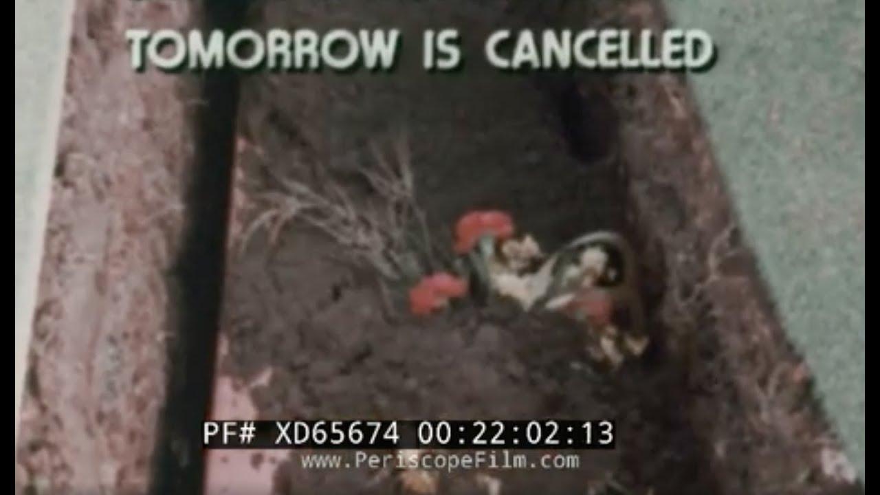 Tomorrow is Cancelled Trailer