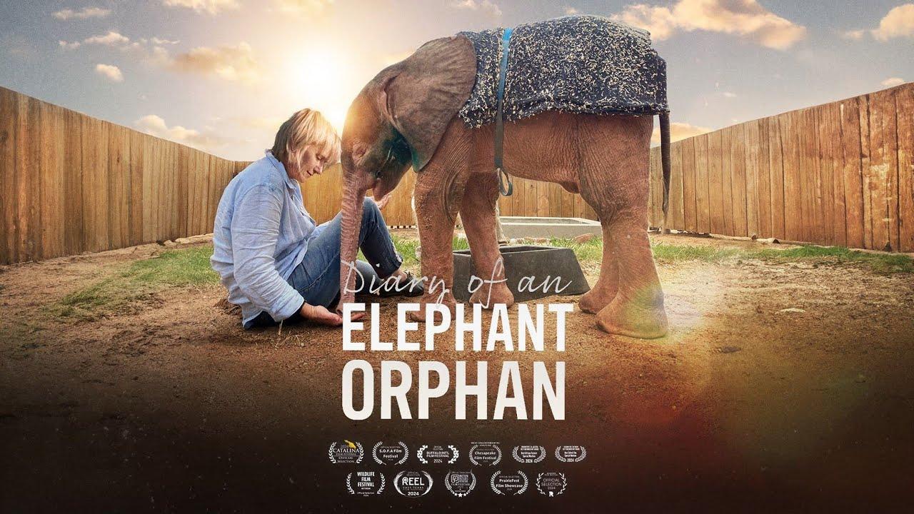 Diary of an Elephant Orphan Trailer