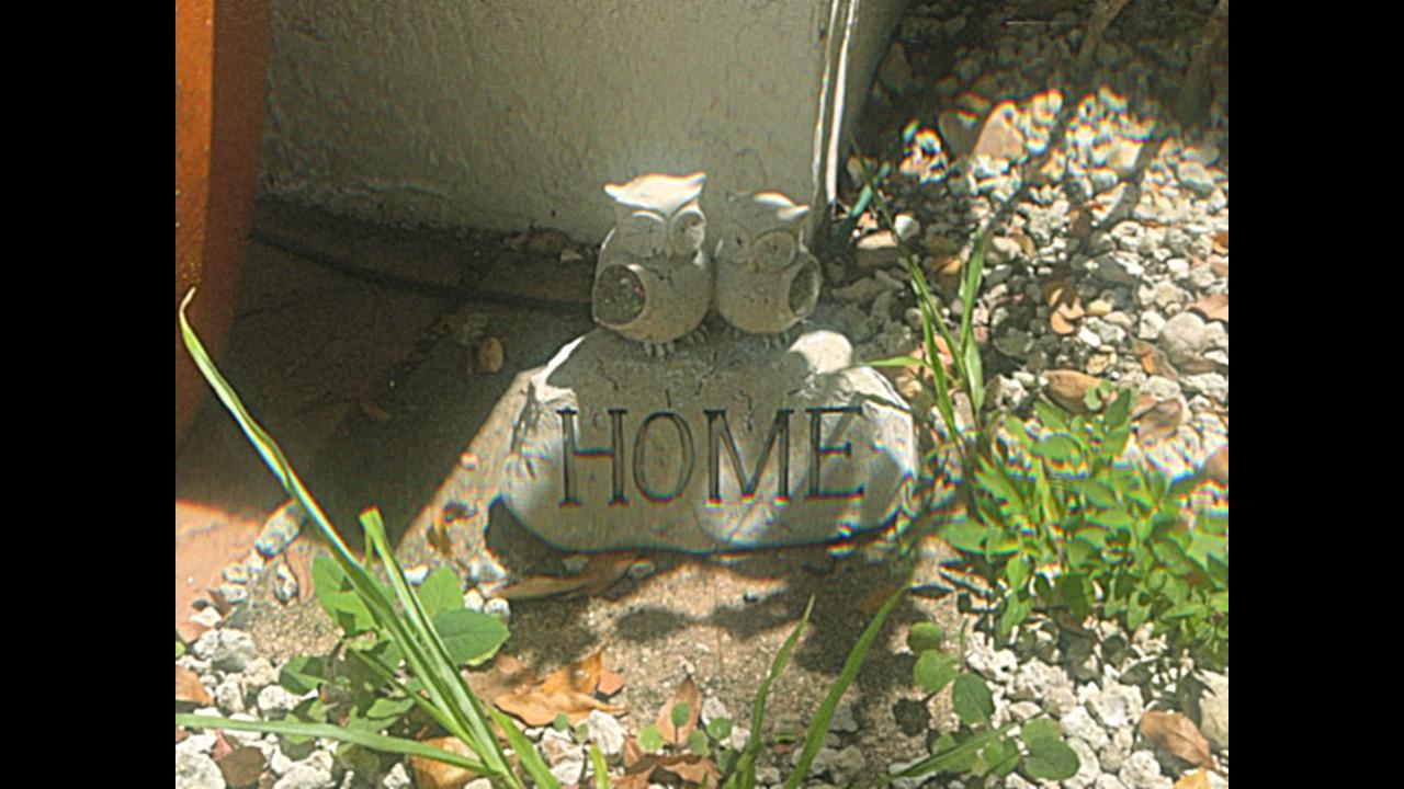 HOME.mp4 Trailer