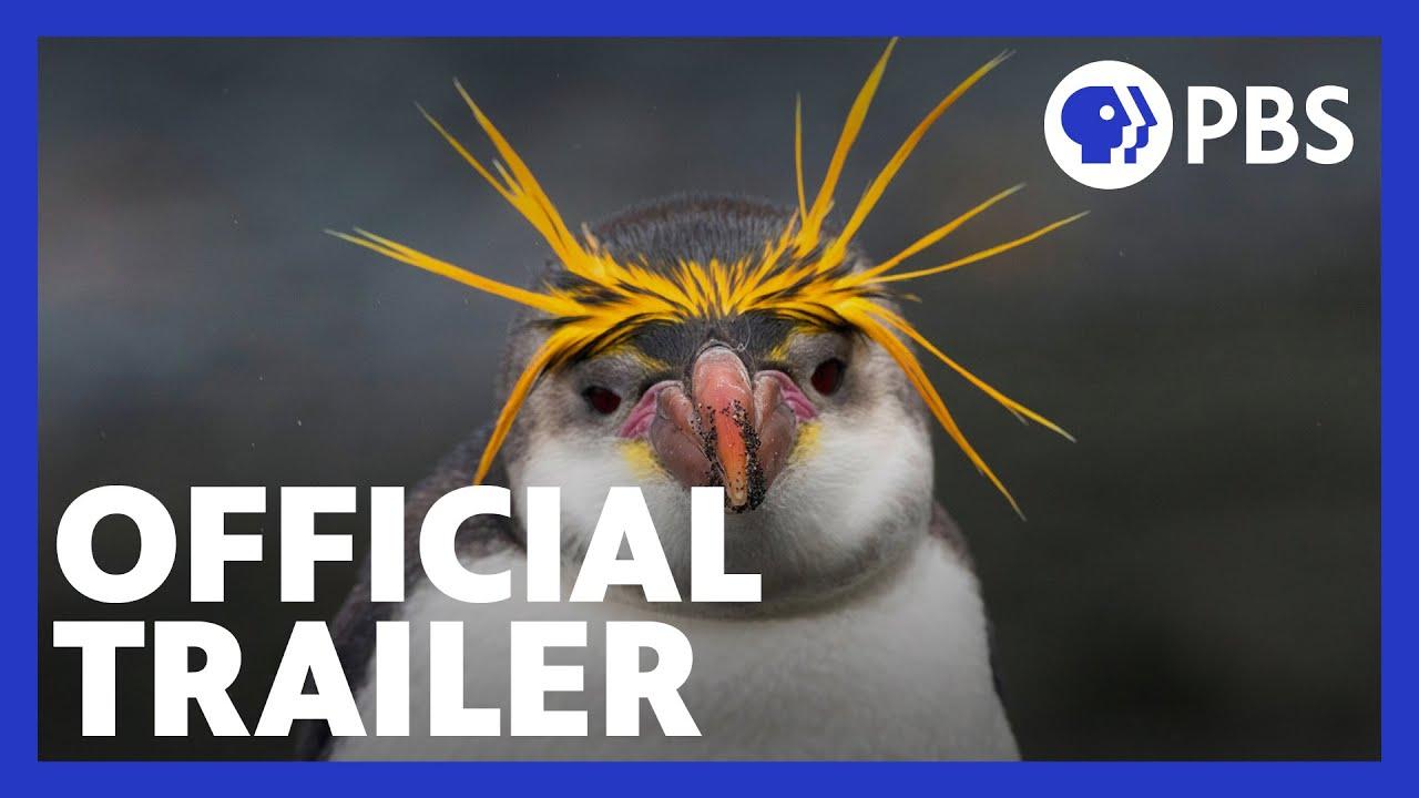 Penguins: Meet the Family Trailer
