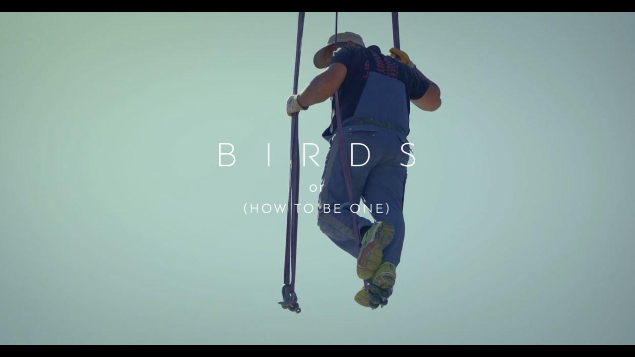 Birds (Or How to Be One) Trailer