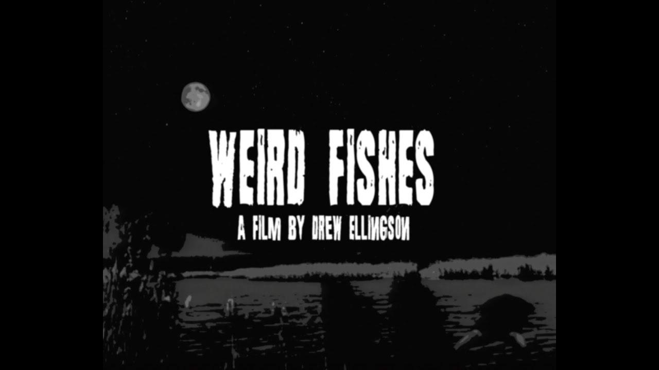 Weird Fishes Trailer