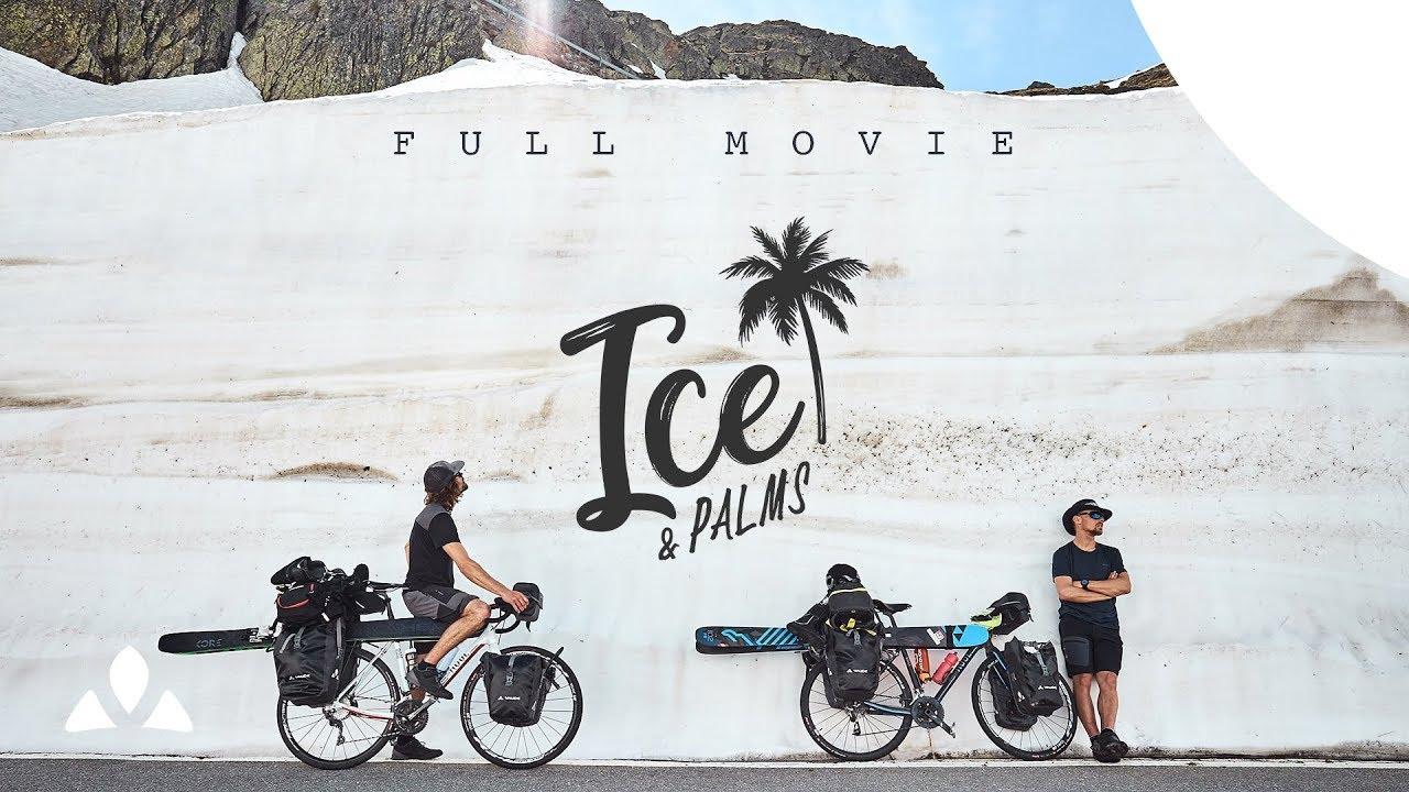 Ice & Palms Trailer