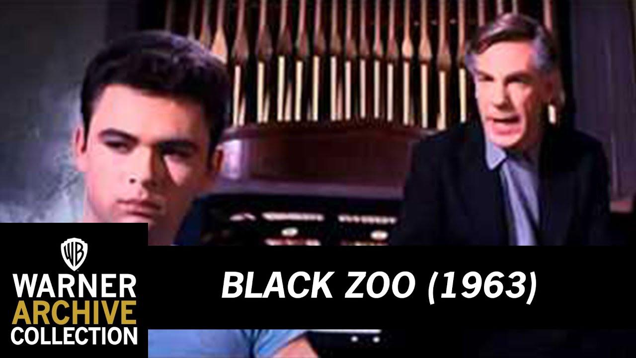 Black Zoo Trailer
