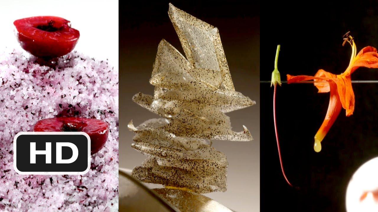 El Bulli: Cooking in Progress Trailer