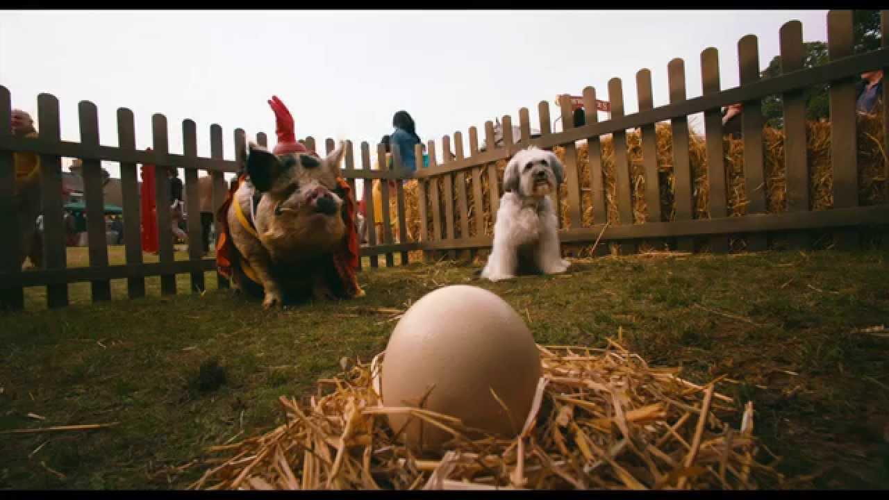 Pudsey the Dog: The Movie Trailer