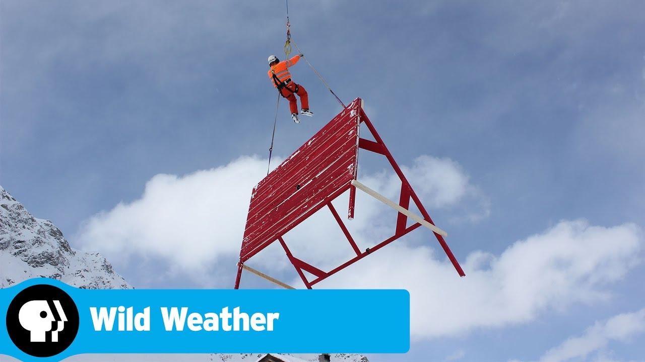Wild Weather Trailer