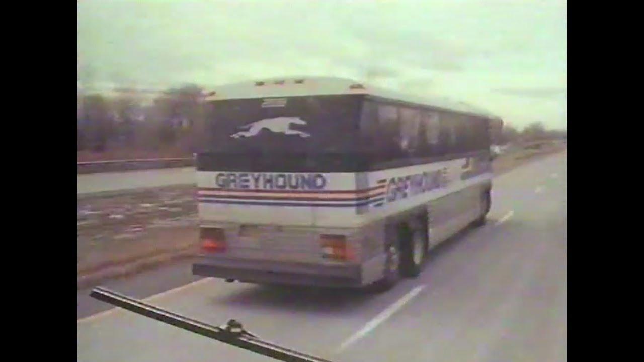 Ridin' the Dog Trailer