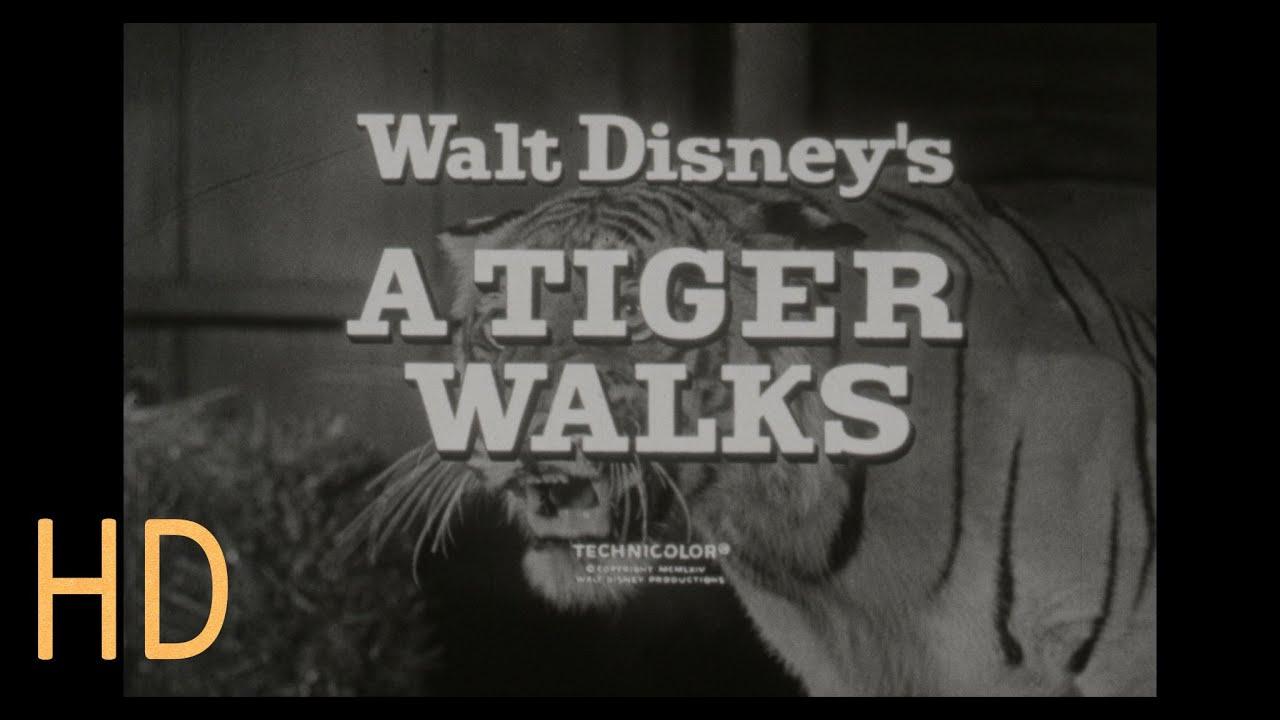A Tiger Walks Trailer