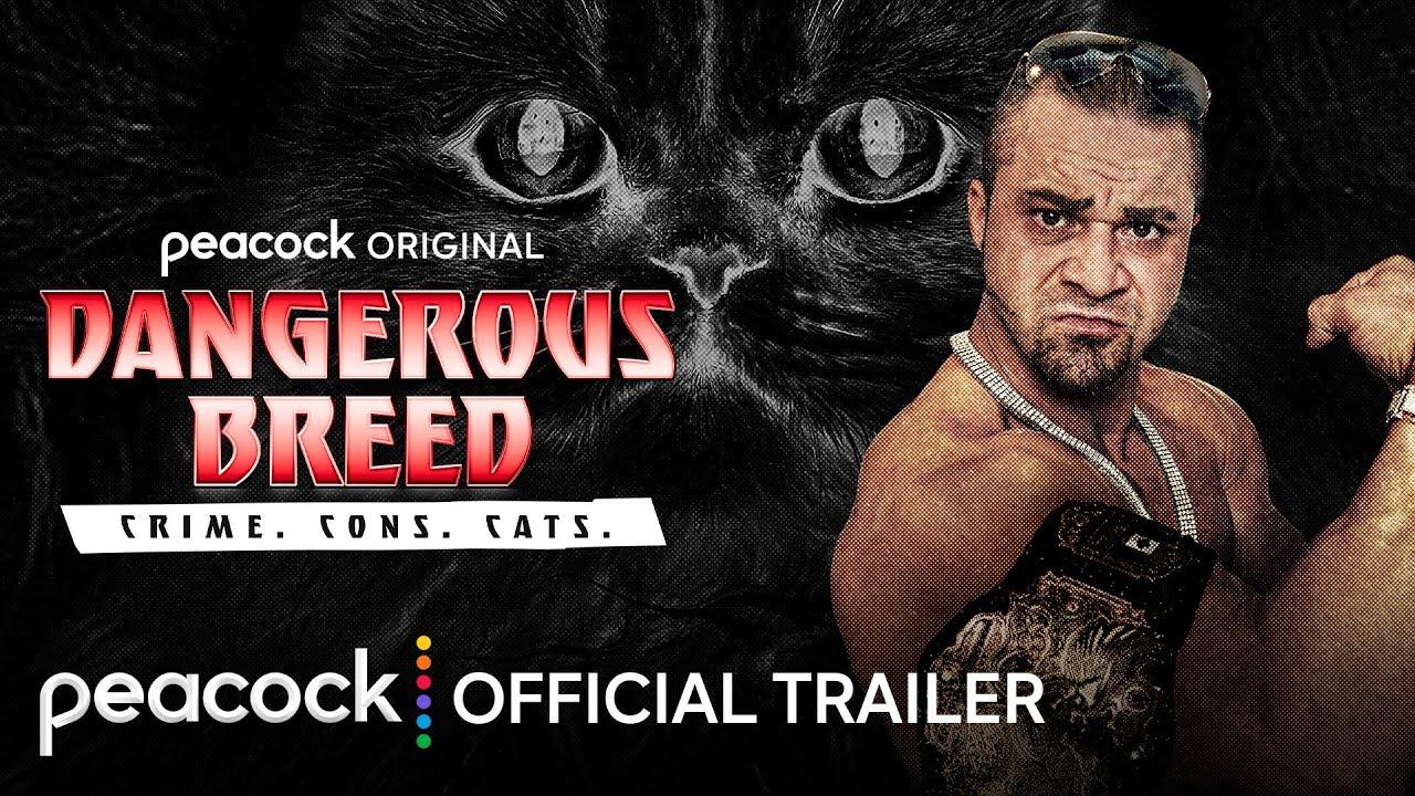 Dangerous Breed: Crime. Cons. Cats. Trailer