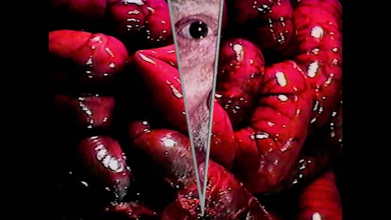 Intimate Bodies Trailer