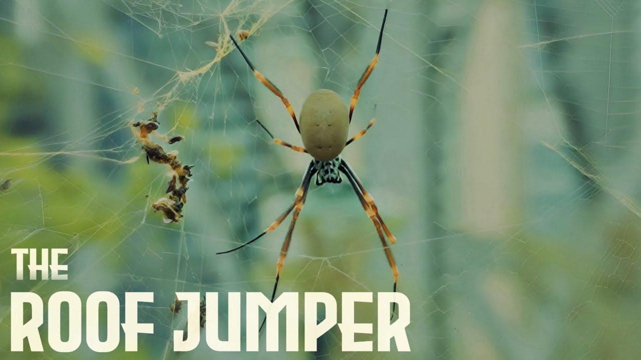 The Roof Jumper Trailer