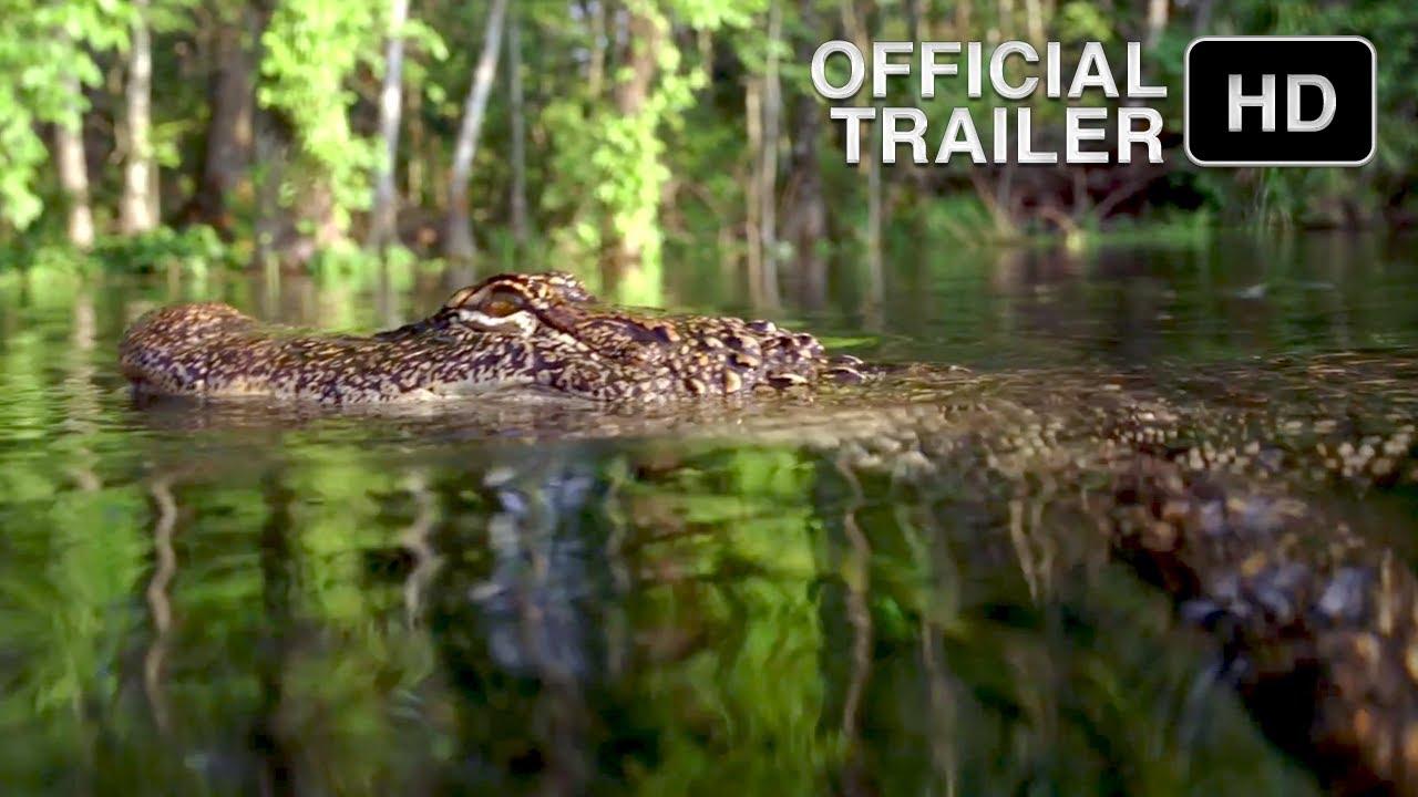 Hurricane on the Bayou Trailer