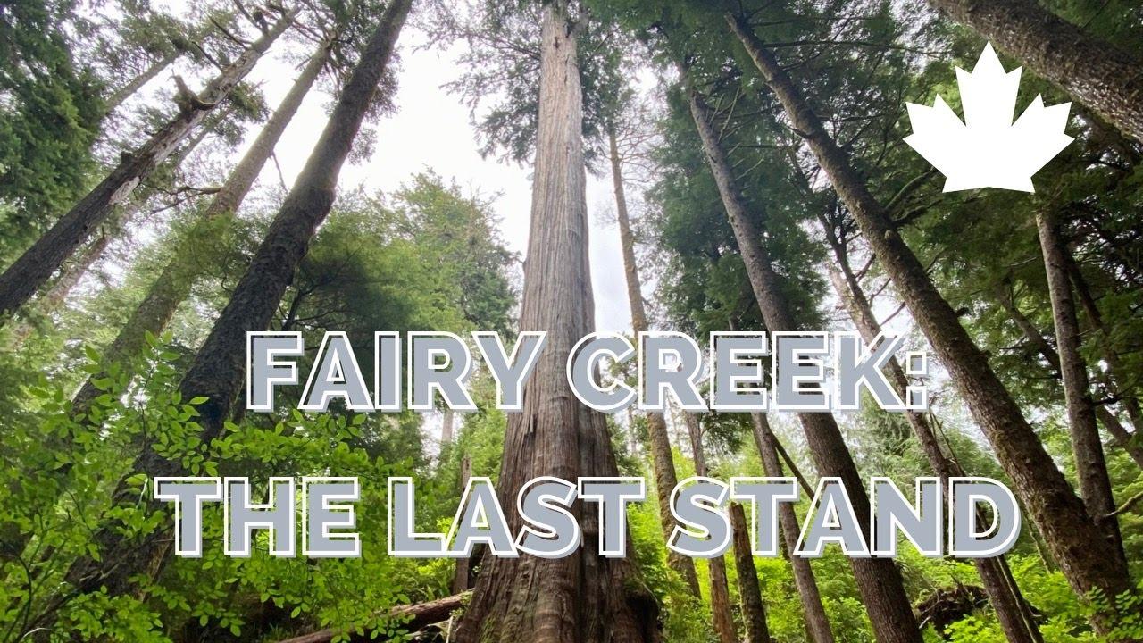Fairy Creek: The Last Stand Trailer