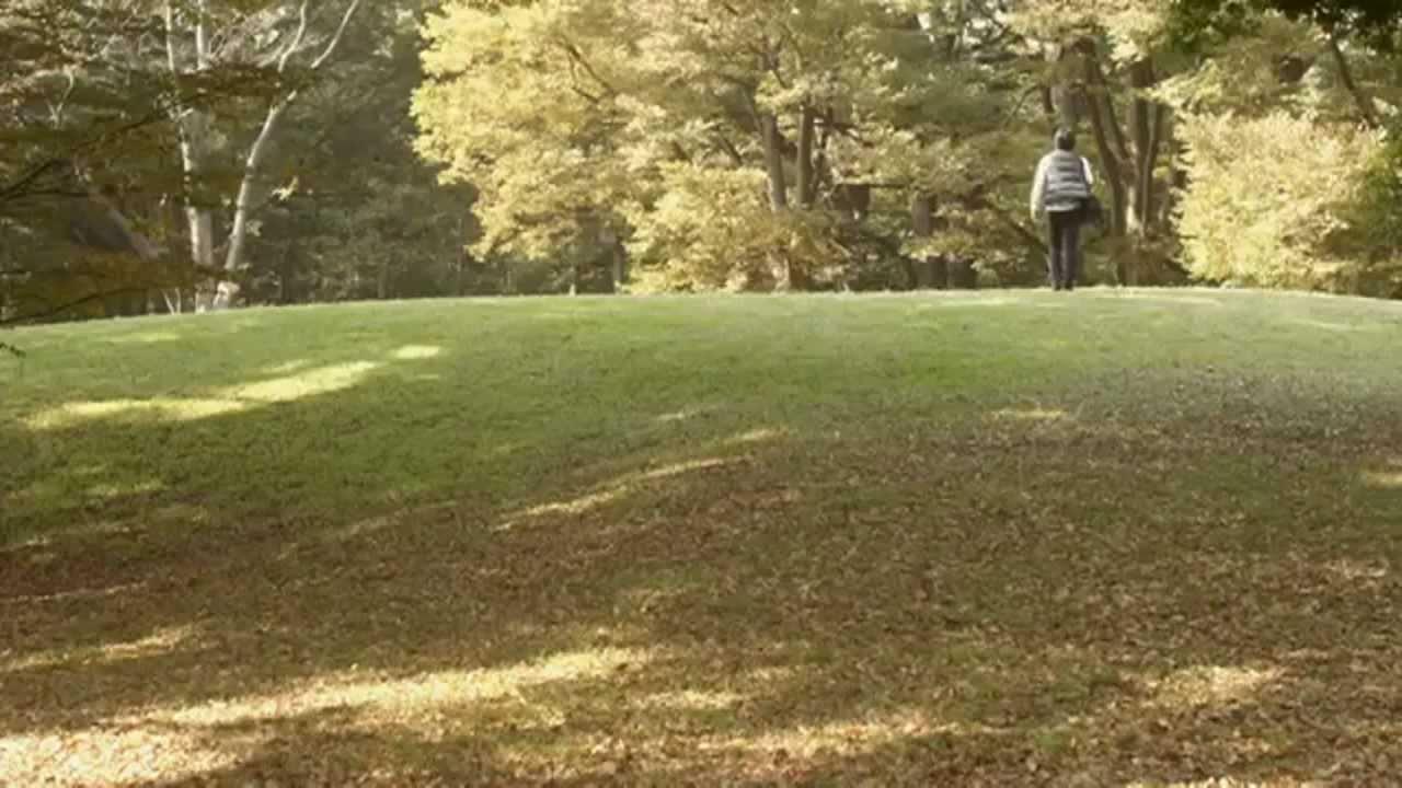 Tokyo Park Trailer