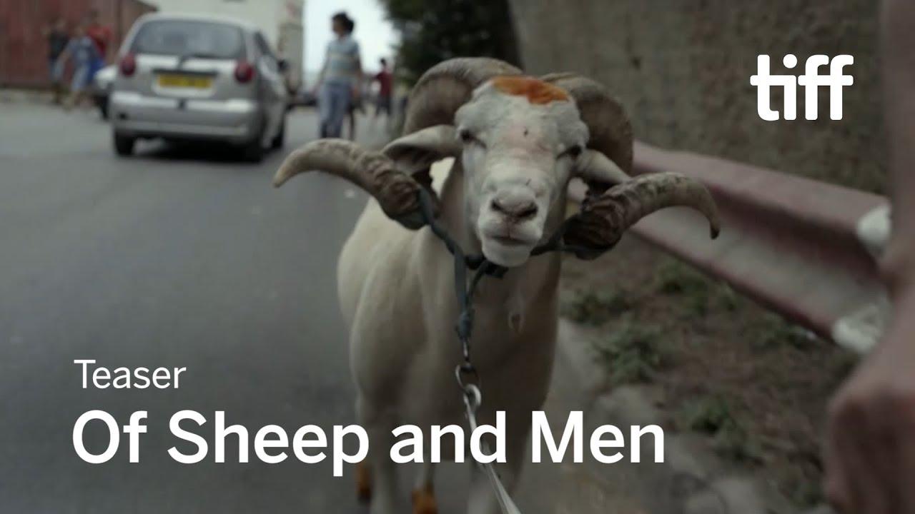 Of Sheep and Men Trailer
