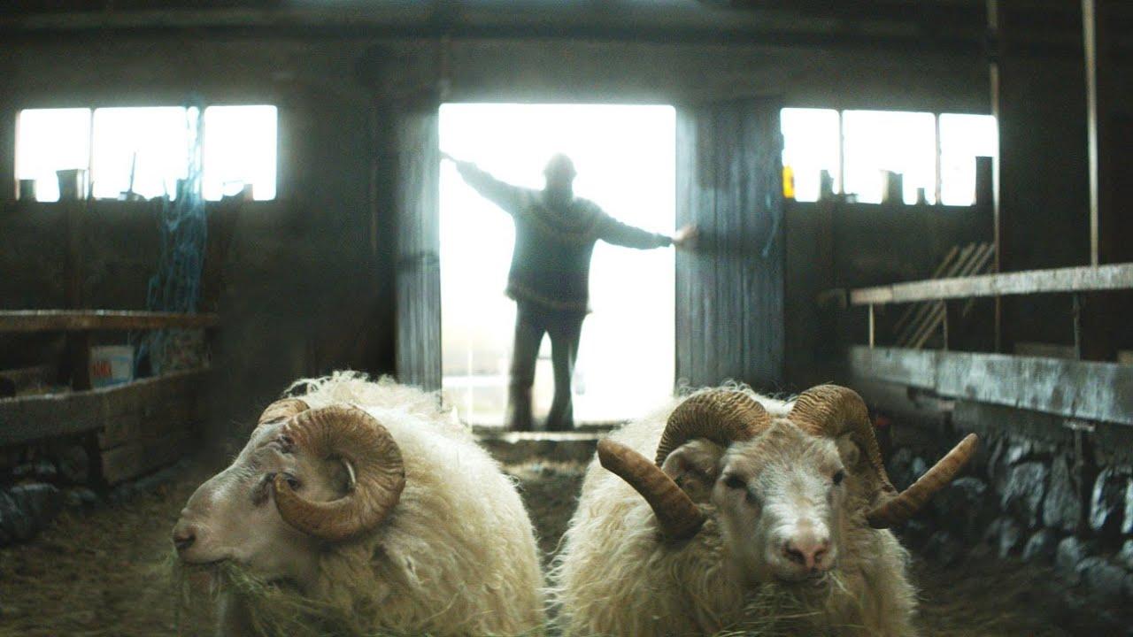Rams Trailer