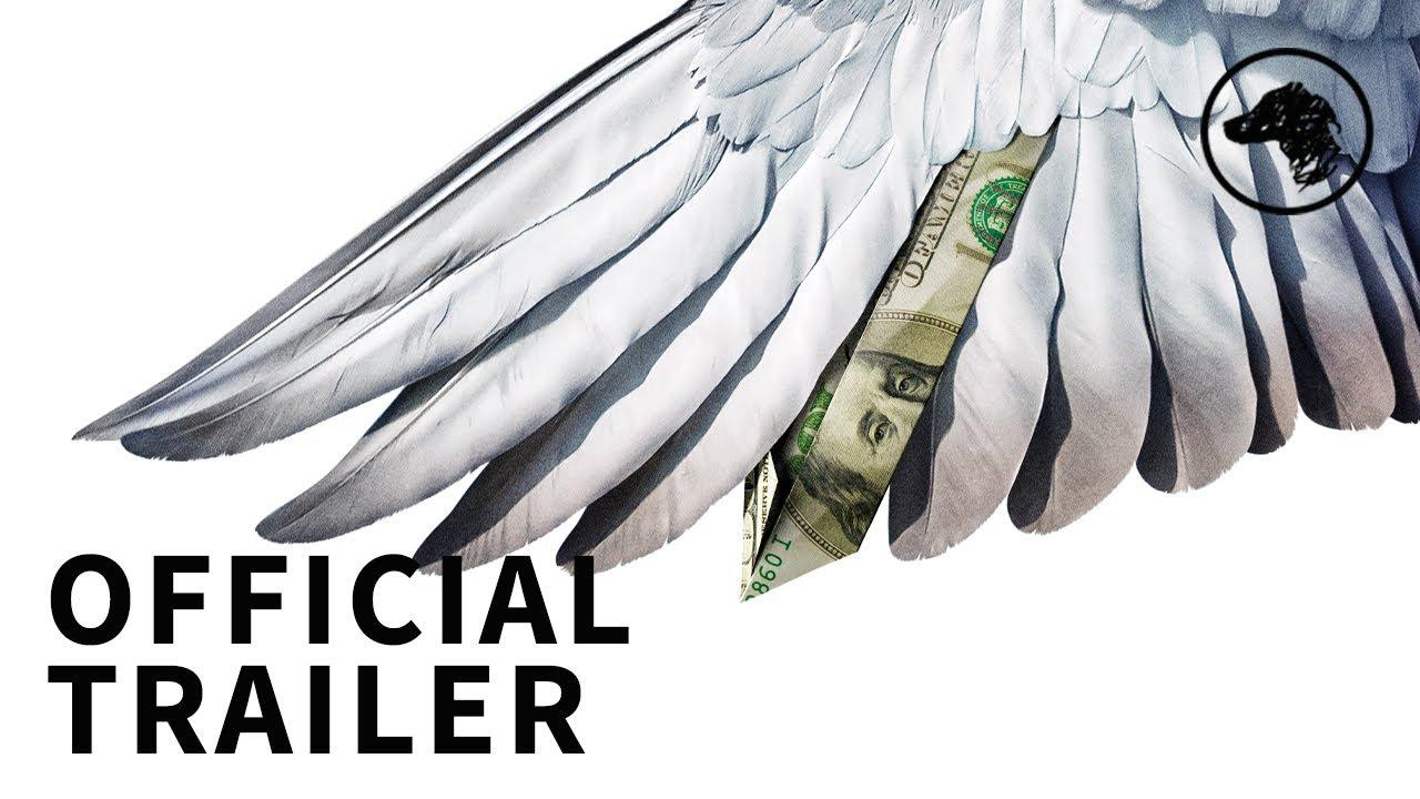 Million Dollar Pigeons Trailer