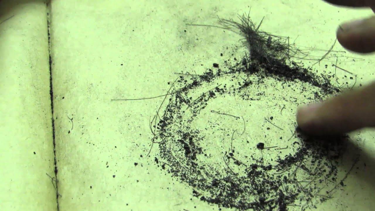 circles Trailer