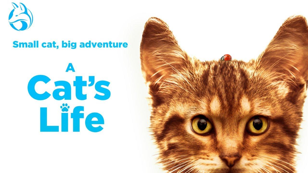 A Cat's Life Trailer