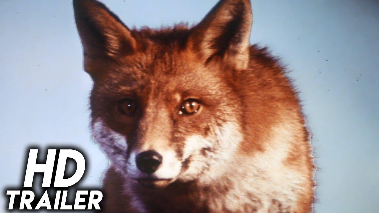The Belstone Fox Trailer