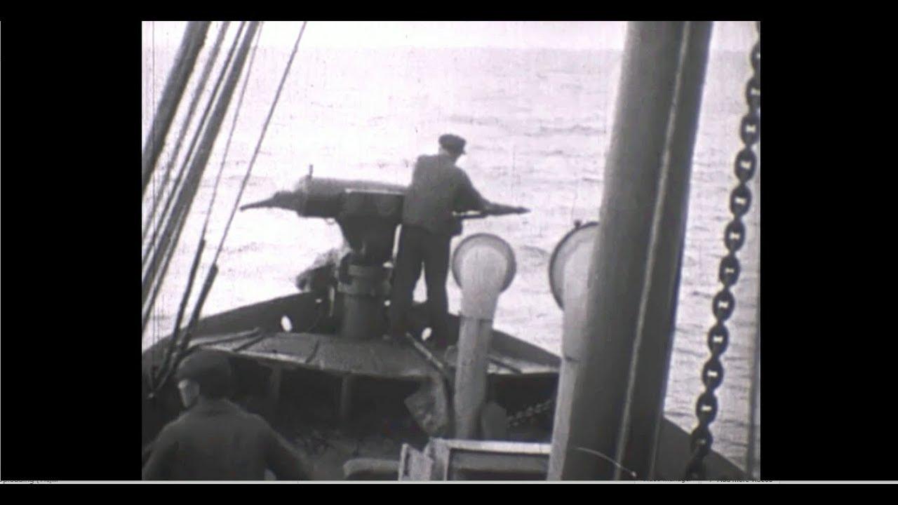 Whale Fishing Trailer