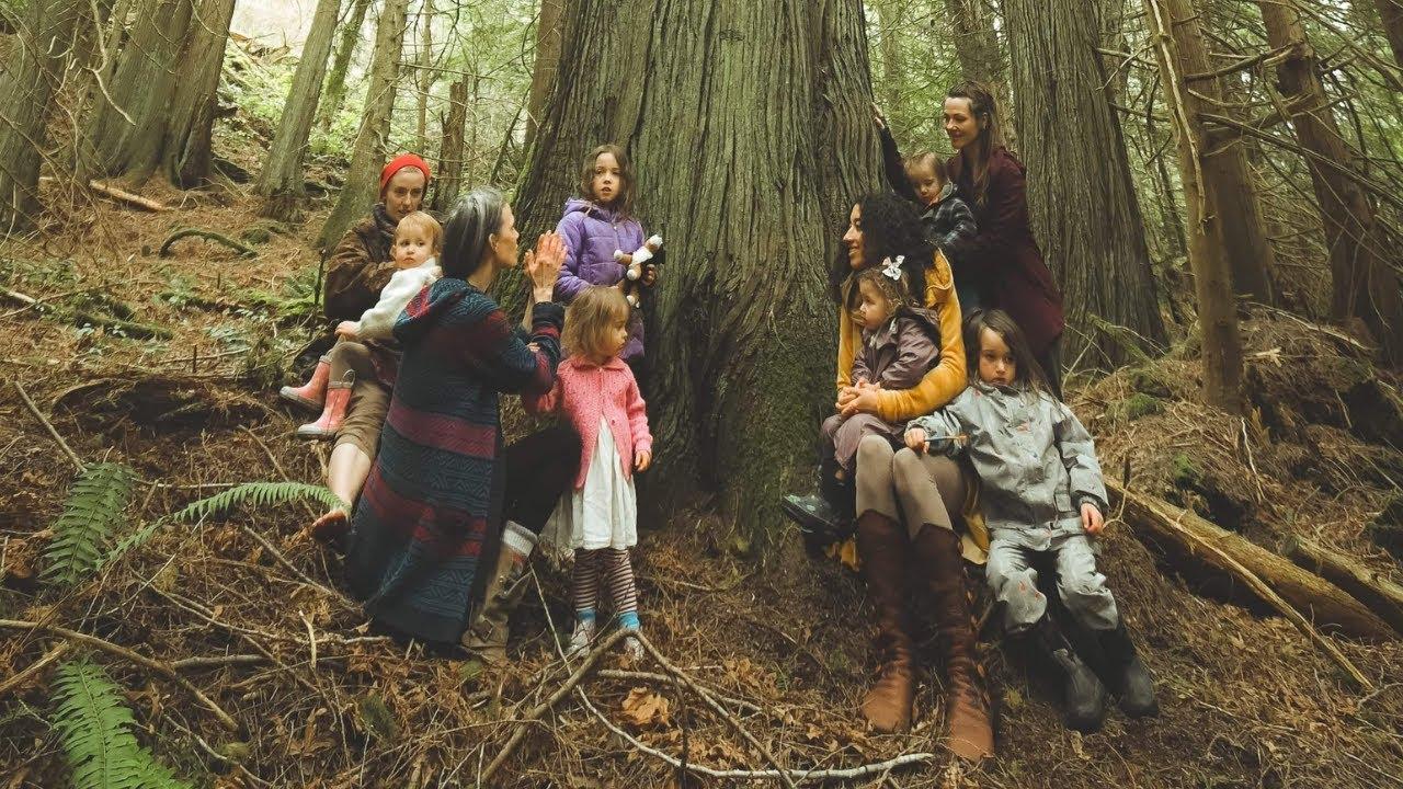 ARISE for the Ancient Forests | Save Fairy Creek Trailer