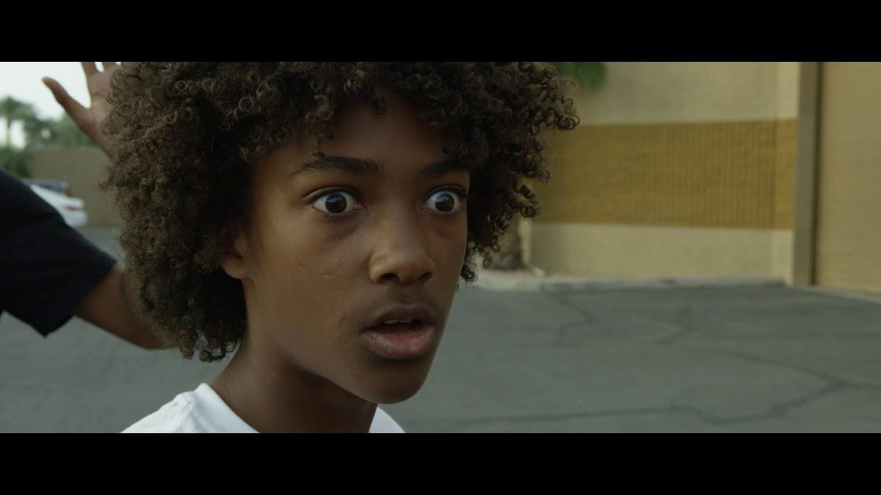 The System Trailer