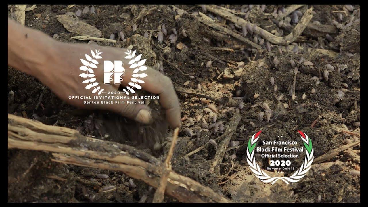 Follow the Drinking Gourd Trailer