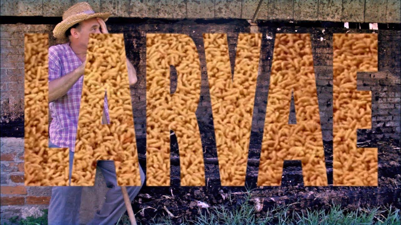 Larvae Trailer