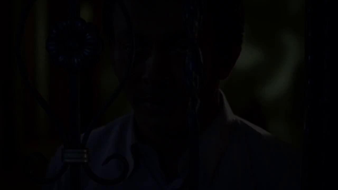 True Love Trailer