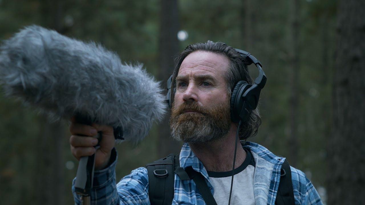 Within the Pines Trailer