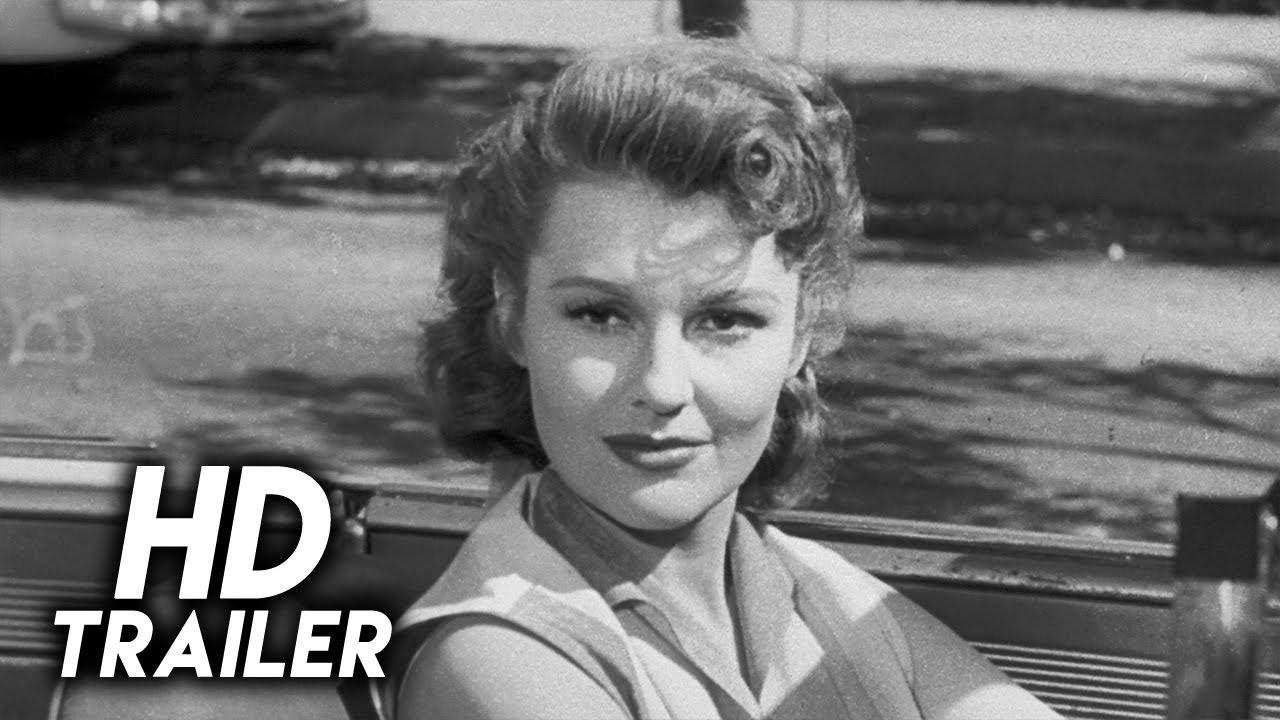 Drive a Crooked Road Trailer
