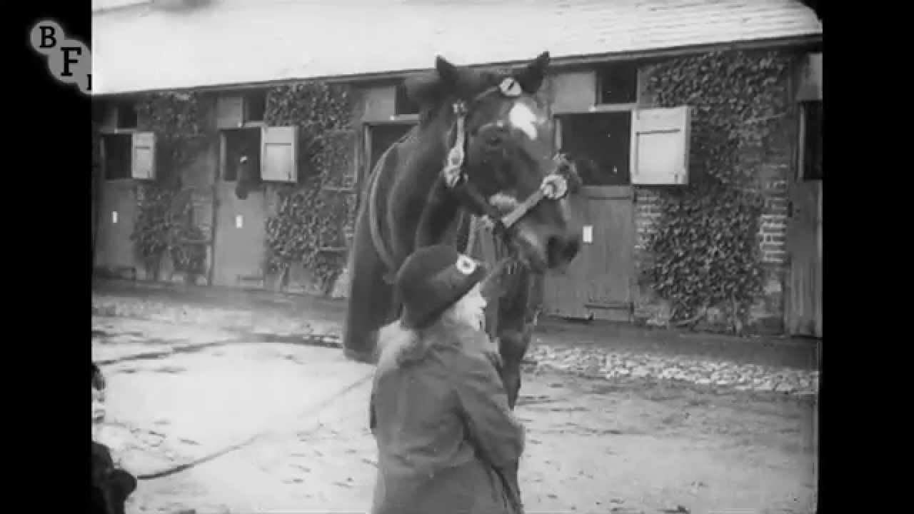 Horses' New Year's Dinner Trailer