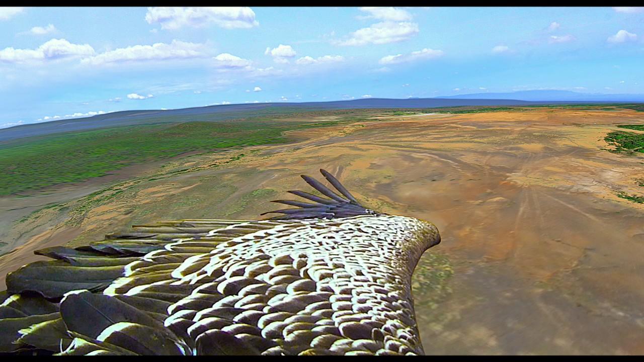 Earthflight Trailer