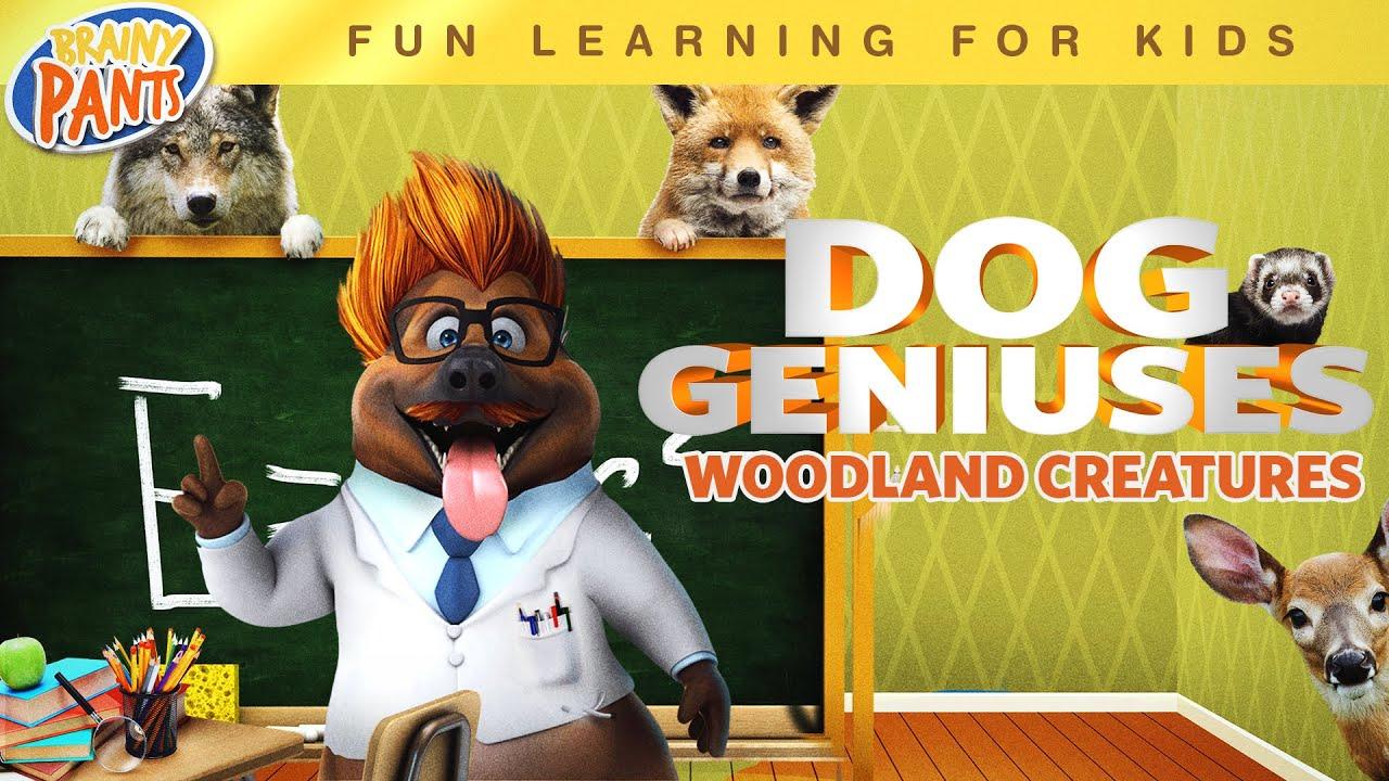 Dog Geniuses: Woodland Creatures Trailer