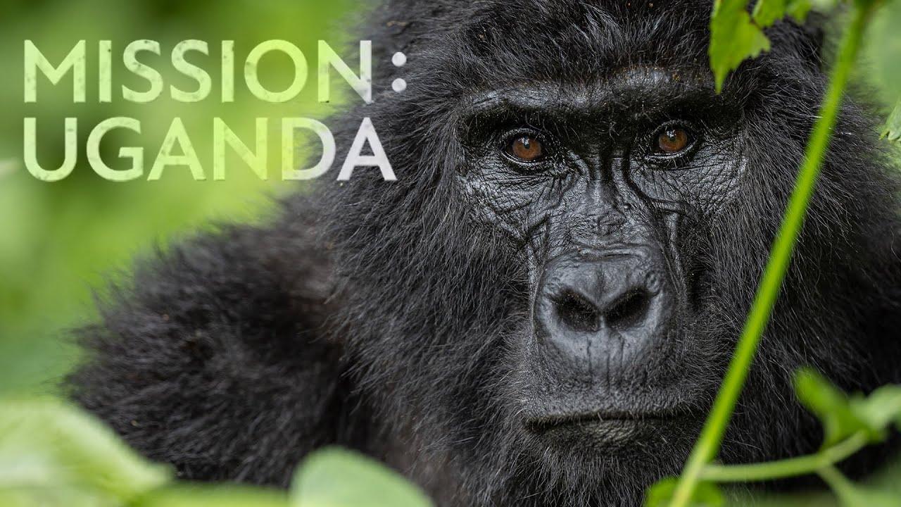 Mission: Uganda Trailer