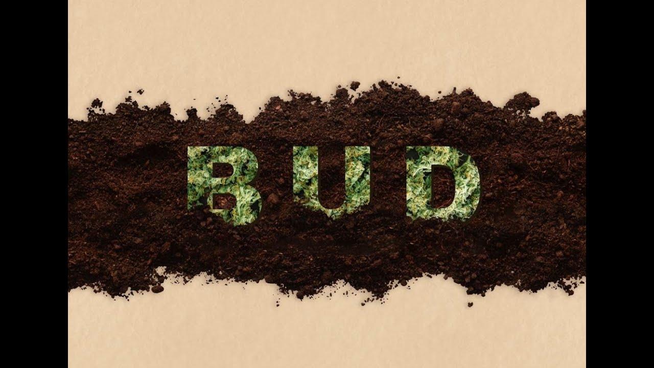 BUD Trailer