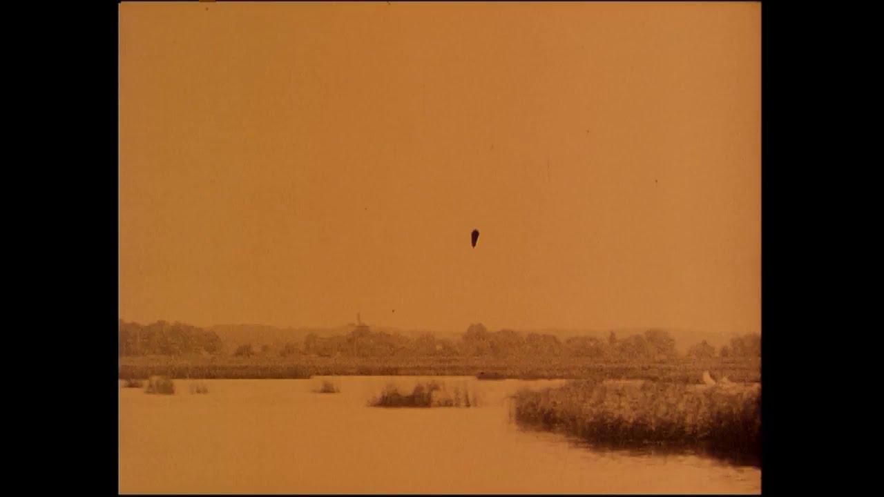 Wild Swans Trailer