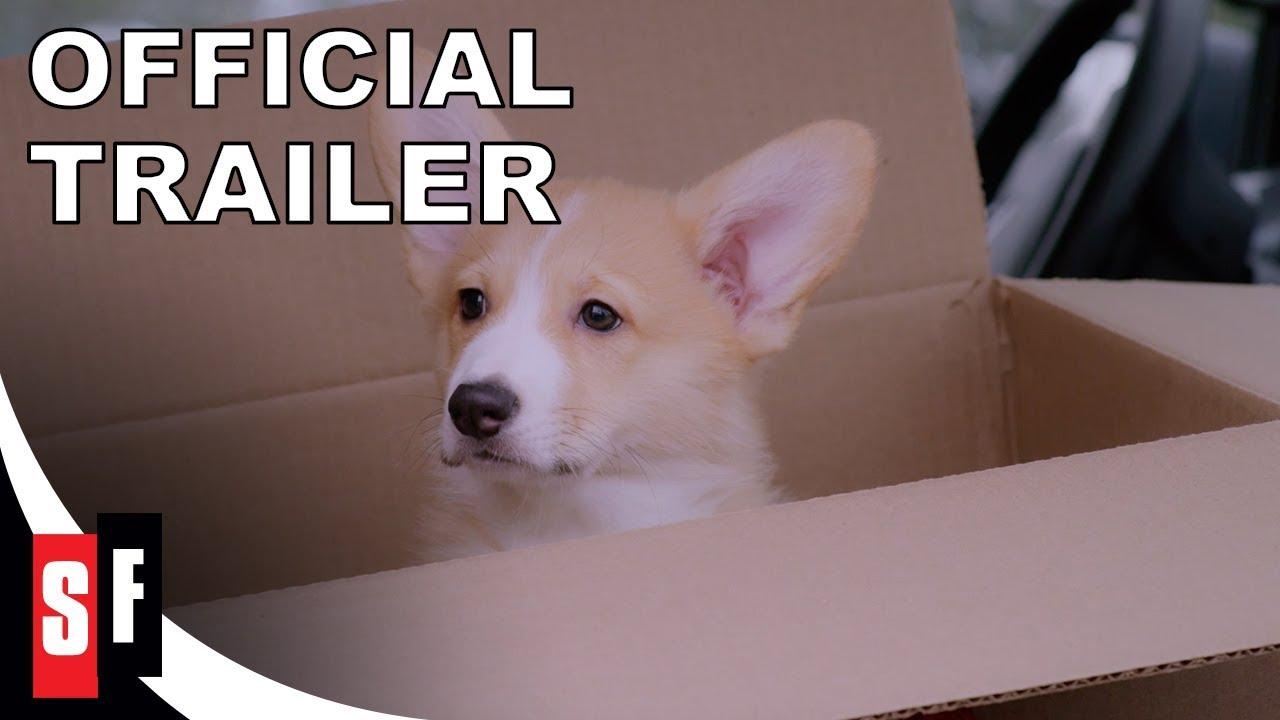 A Very Corgi Christmas Trailer