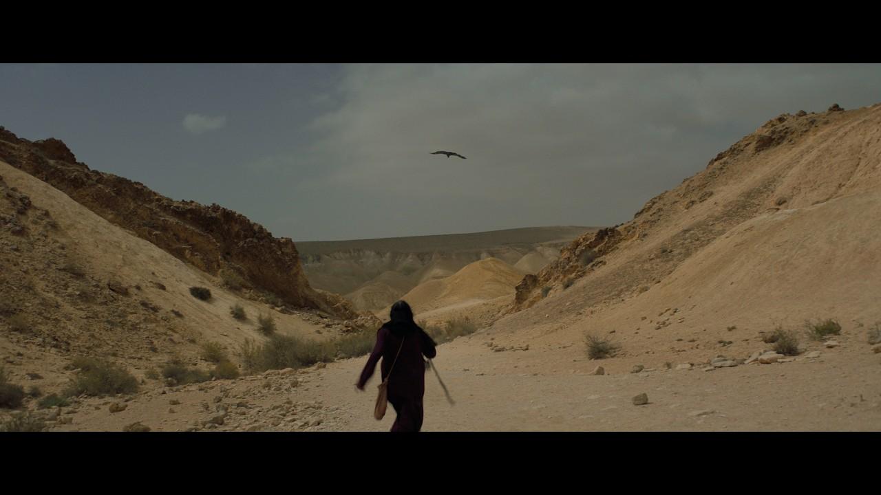 The Sands Won't Tell Trailer